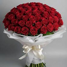 Букет 101 Красная роза Блэк Мэджик в Оршанке