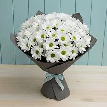 Букет цветов из:  Хризантемы в Оршанке