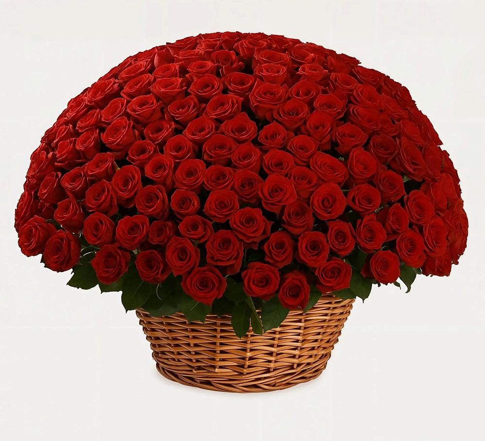 Премиум букет из: Розы в Оршанке