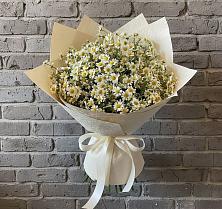 Букет цветов из:  Ромашки в Оршанке