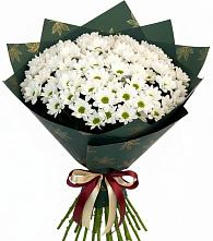 Букет цветов из:  Хризантемы в Оршанке