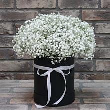 Цветочная композиция из Гипсофила в шляпной коробке в Оршанке