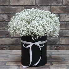 Цветочная композиция из Гипсофила в шляпной коробке в Оршанке