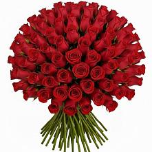 Букет Красные розы Чери Лав в Оршанке