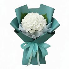 Букет цветов из:  Гортензия в Оршанке